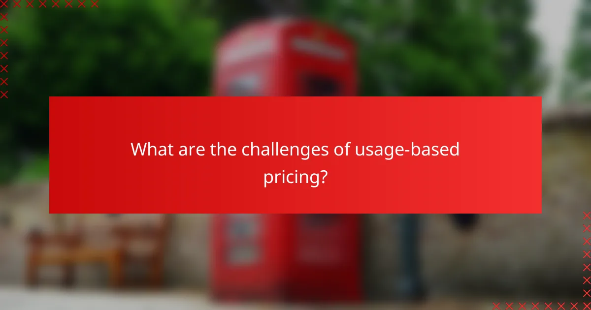 What are the challenges of usage-based pricing?