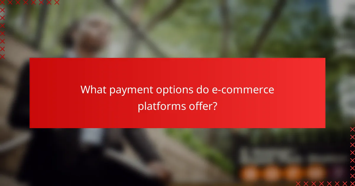 What payment options do e-commerce platforms offer?